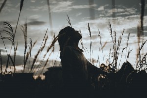 THE POWER OF PRAISE